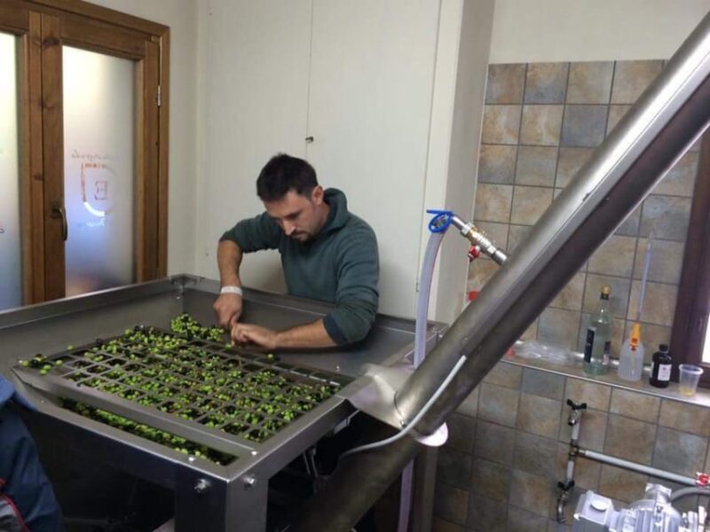 Olive Mill Tour With Oil and Food Tastings Near Pisa - Pairing Olive Oil With Bruschetta and Gelato