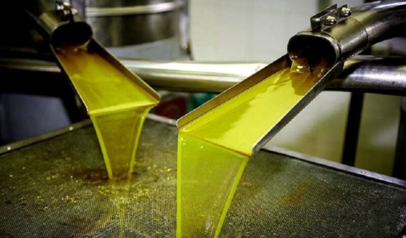 Olive Mill Visit & Olive Oil Tasting 3-Hour Trip Private - Key Points