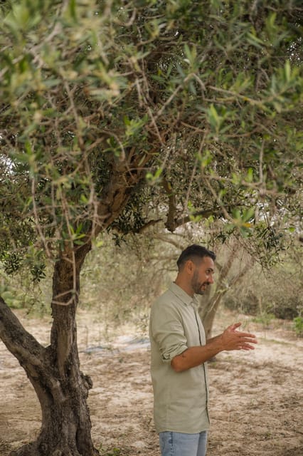 Olive Oil Evening A Journey of Taste, Tradition and Horses - Accessible Transportation and Guidance