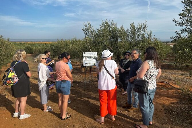 Olive Oil Factory From Seville Private Tour - Quick Points