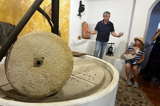 Olive Oil Factory From Seville Private Tour - Highlights of the Factory Visit