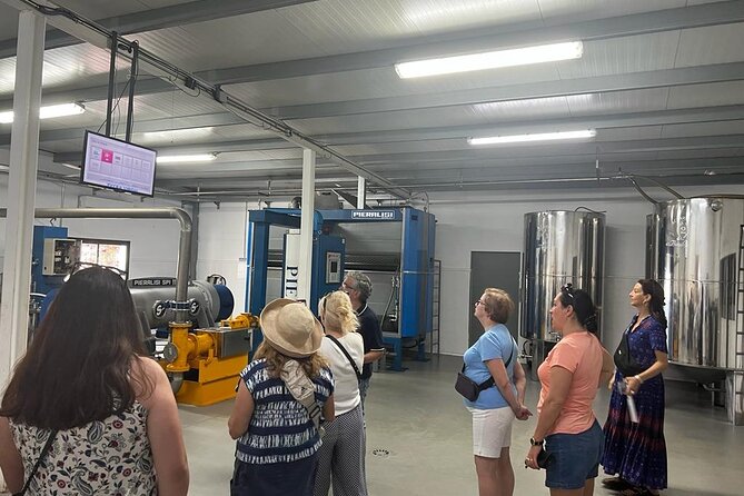 Olive Oil Factory From Seville Private Tour - Immersive Olive Oil Tasting Experience