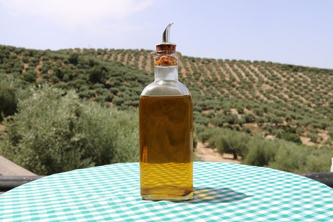 Olive Oil Factory From Seville Private Tour - Exploring the Olive Tree Farm