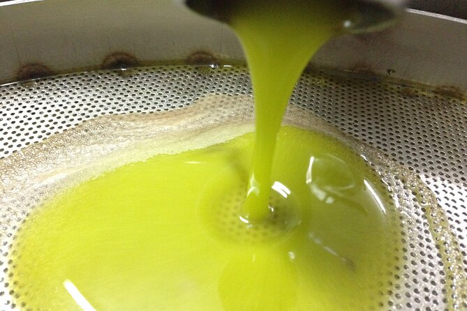 Olive Oil Mill Experience and Tasting in Salento With Guide - Meeting and Logistics
