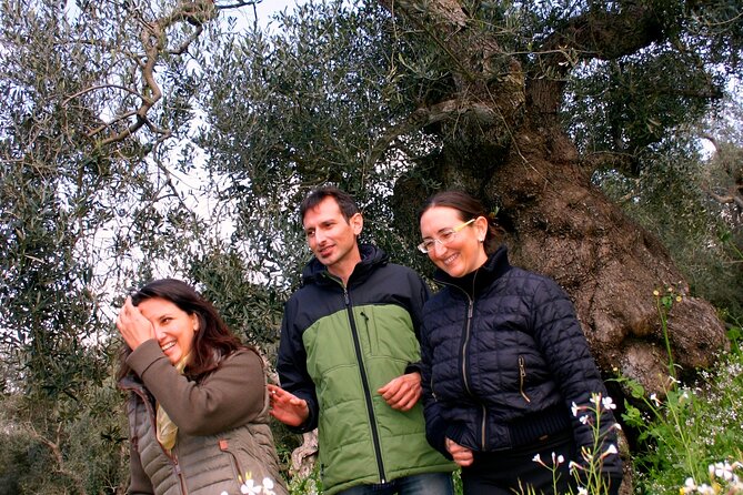 Olive Oil Mill Experience and Tasting in Salento With Guide - Family History and Tradition