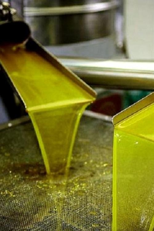 Olive Oil Tasting 3-Hour Trip From Chania Souda Cruise Port - Itinerary Details