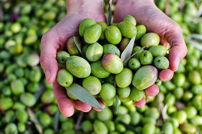 Olive Oil Tasting Breakfast & Tour in Cordoba - Tour Pricing