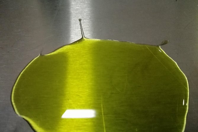 Olive Oil Tasting in Abruzzo - Key Points