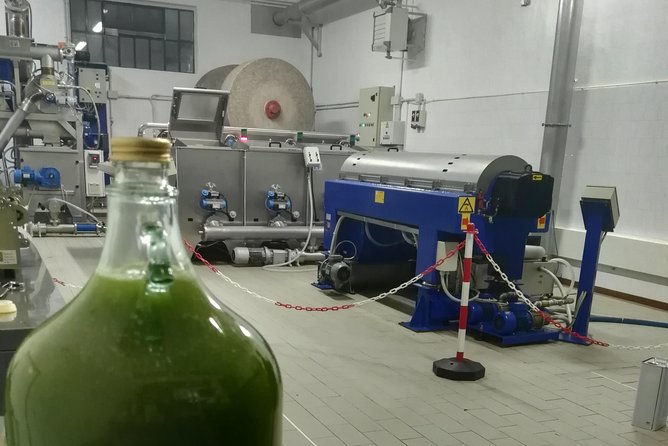 Olive Oil Tasting in Abruzzo - Customer Feedback and Ratings