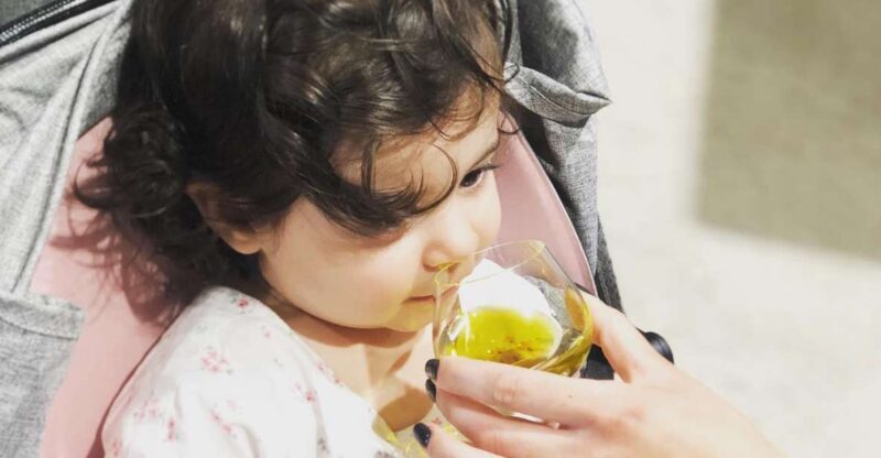 Olive Oil Tasting in Crete - Educational Components
