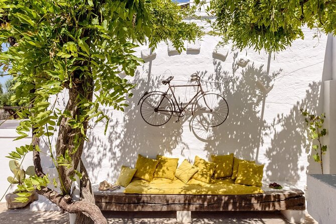Olive Oil Tasting in Masseria in Ostuni - Overview of the Tasting