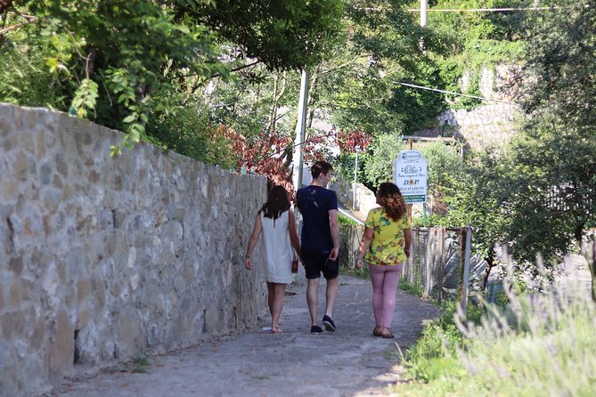 Olive Oil Tasting in Sorrento - Exploring Centuries-Old Olive Groves