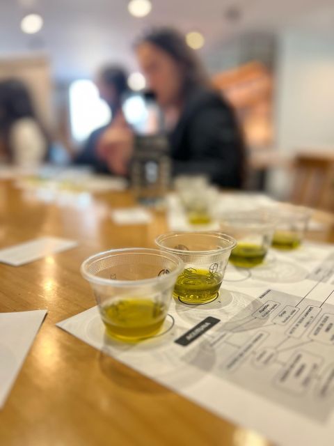 Olive Oil Tasting - Key Points