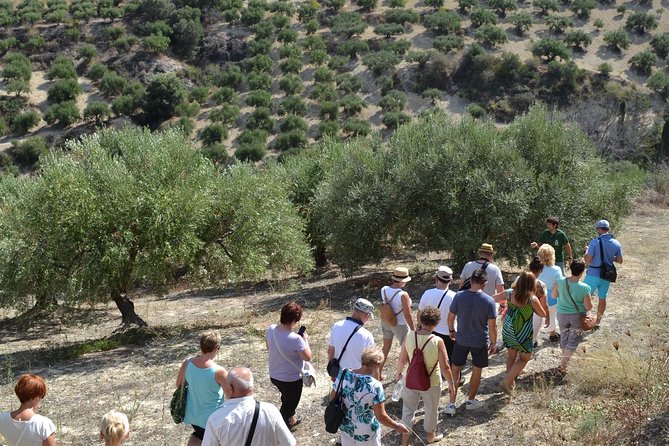 Olive Oil Tasting Tour - Sampling of Olive Products