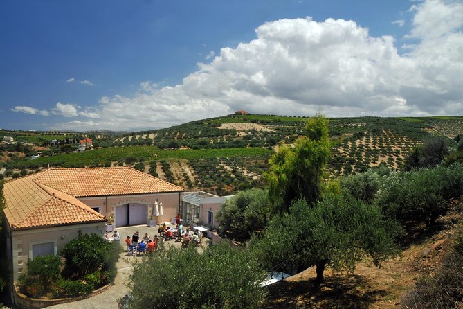 Olive Oil Tasting Tour - Duration and Timing