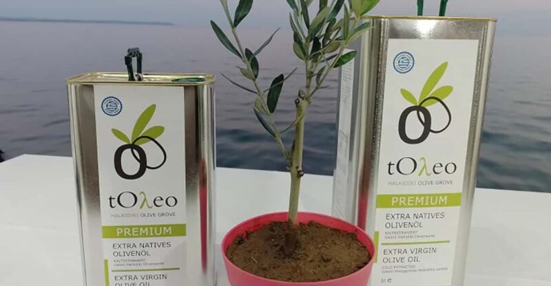 Olive Oil Tasting With Seminar in Kriopigi - Halkidiki. - Key Points