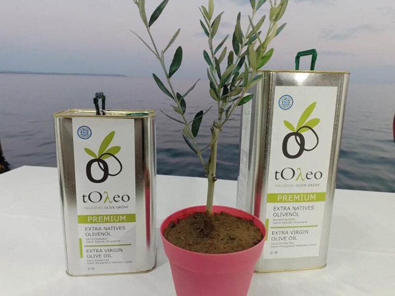 Olive Oil Tasting With Seminar in Metaggitsi - Halkidiki. - Key Points