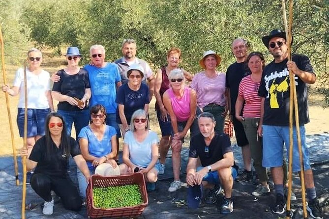 Olive Oil Tasting With Seminar in Metagitsi - Halkidiki - Accessibility Information