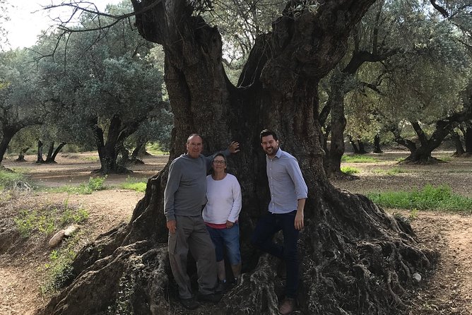 Olive Oil Tour and Visit to Belchite Old Town - Belchite Village