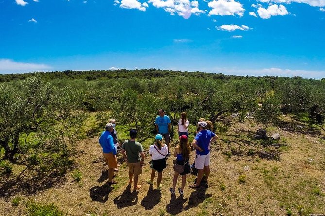 Olive Oil Tour of Solta Island With Lunch - Key Points