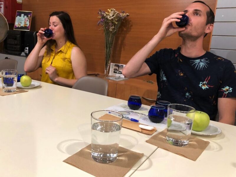 Olive Oil Tour & Tasting in Kalamata, Messinia, Greece - Guided Olive Grove Stroll