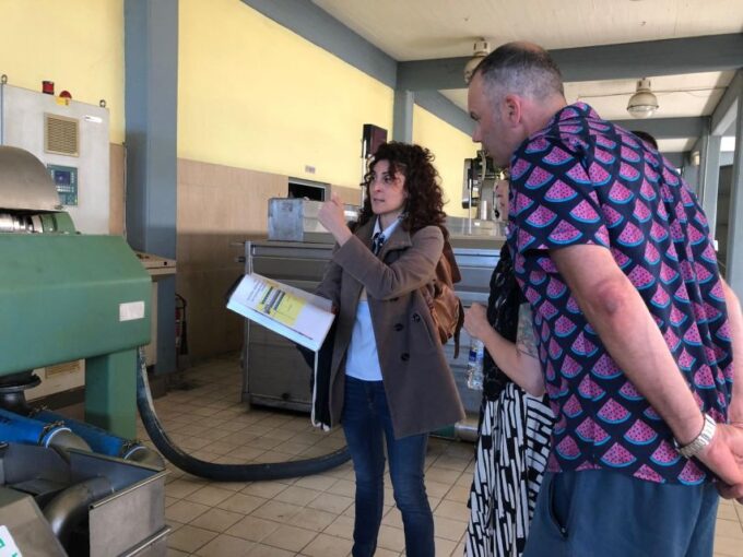 Olive Oil Tour & Tasting in Kalamata, Messinia, Greece - Inclusions in the Tour