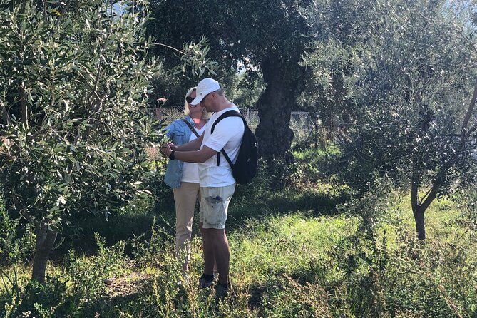 Olive Oil Tour & Tasting With Lunch in Kalamata, Messinia, Greece! - Savoring a Traditional Greek Lunch