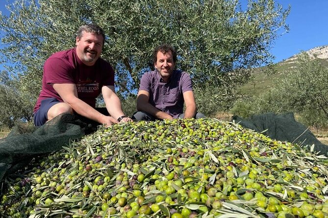 Olive Oil Tour & Tasting With Sommelier -Kalentzi, Athens Daytrip - Booking and Accessibility