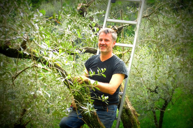 Olive Oil Tour With Tuscan Dinner - Booking Details