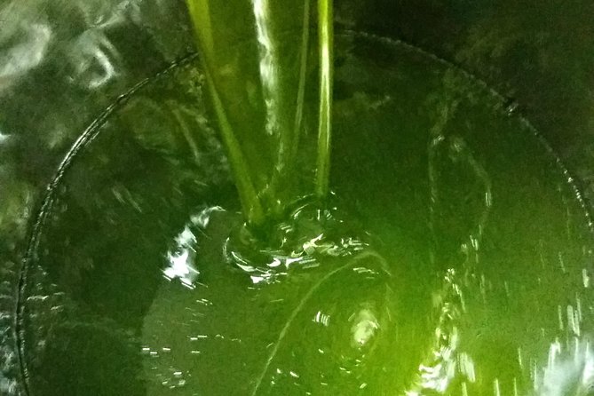 Olive Oil Tour With Tuscan Dinner - Olive Oil Tasting
