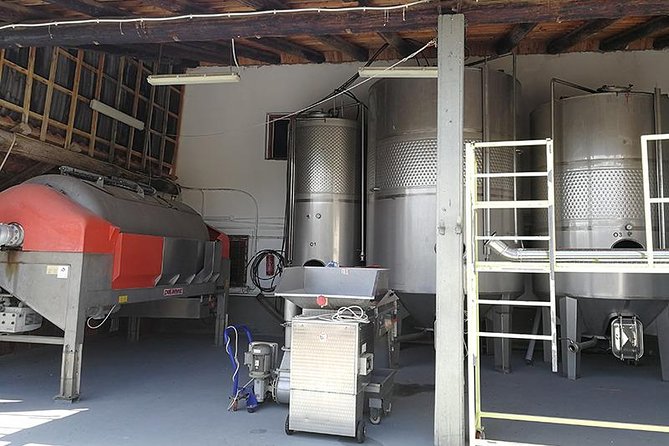 Olive Oil - Wine - Beer Private Tour (Price per Group of 6) - Olive Oil Exploration