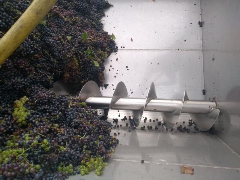 Olive Oil & Wine in the Euganean Hills From Terme - Olive Oil Tasting