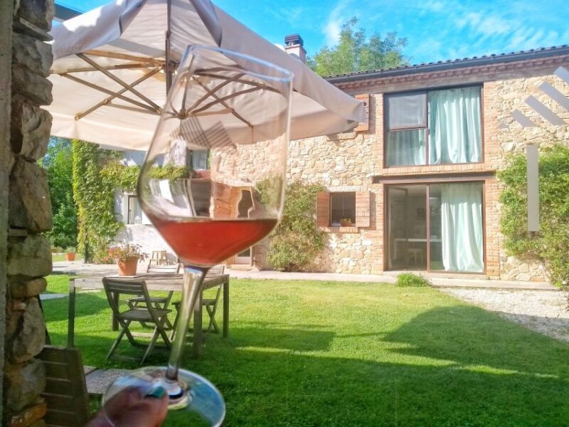 Olive Oil & Wine in the Euganean Hills From Terme - Vineyard Visit