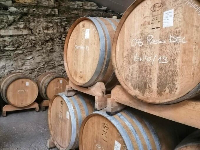 Olive Oil & Wine in the Euganean Hills From Terme - Customer Recommendations