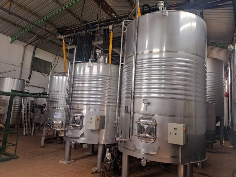 OLIVE OIL & WINE TOUR Organic Cooperative 5Wines+3Olive Oils - Itinerary