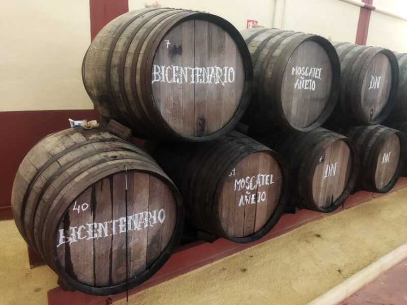 OLIVE OIL & WINE TOUR Organic Cooperative 5Wines+3Olive Oils - Cooperative Visit and Brunch