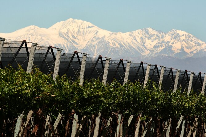 Olive Oils, Gourmet Products and Wines - Key Points