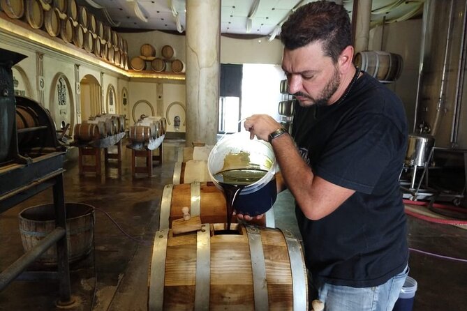 Olive Oils, Gourmet Products and Wines - Private Tour Highlights