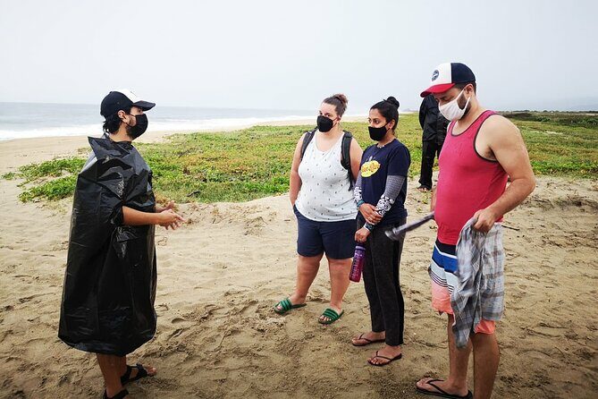 Olive Ridley Turtle Release Experience - An In-Depth Look at the Tour Itinerary