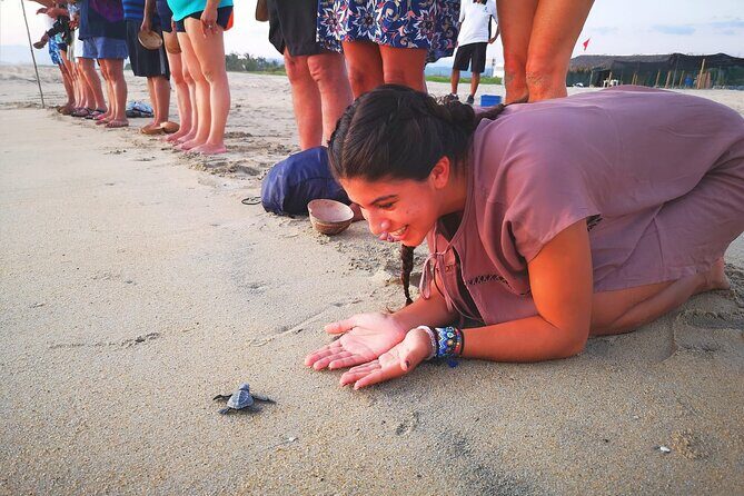 Olive Ridley Turtle Release Experience - Price and Value