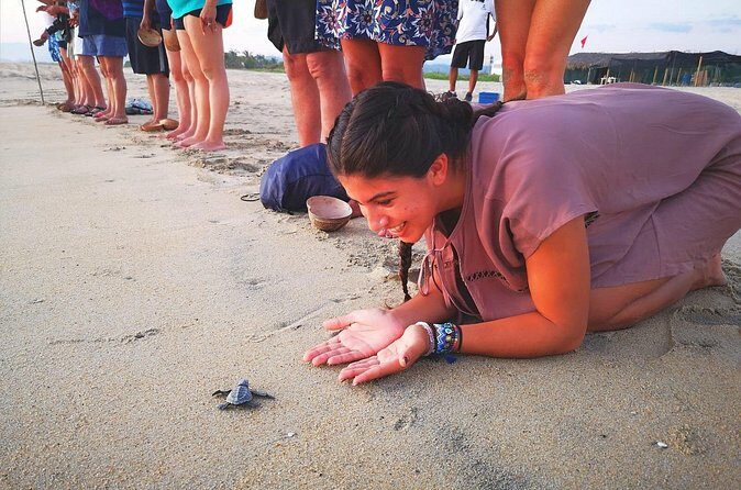Olive Ridley Turtle Release Experience - Final Thoughts