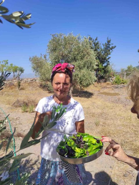 Olive Tasting & Rustic Lunch in Country Home With Live Music - Itinerary and Experience