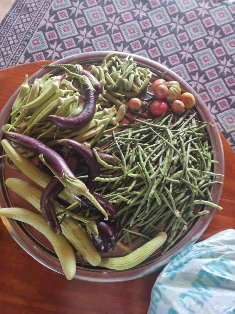 Olive Tasting & Rustic Lunch in Country Home With Live Music - Frequently Asked Questions
