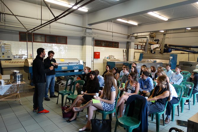 Olive Tour & Tasting - Olive Oil Tasting Details