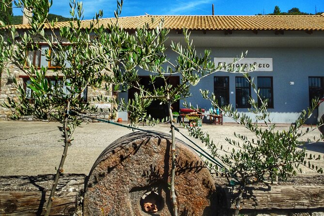 Olive Tour & Tasting - Meeting and Accessibility