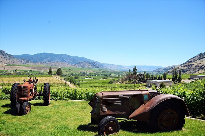 Oliver & Osoyoos Private Wine Tour - Full Day - Positive Guest Reviews