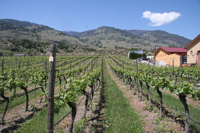 Oliver & Osoyoos Private Wine Tour - Half Day - Pickup Information