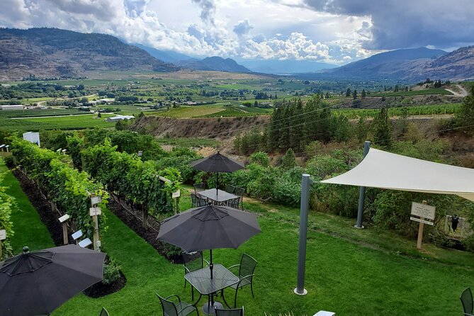 Oliver & Osoyoos Private Wine Tour - Half Day - Lunch and Snacks