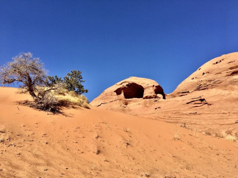 Oljato-Monument Valley: 2.5-hour Mystery Valley Tour - Inclusions and Requirements