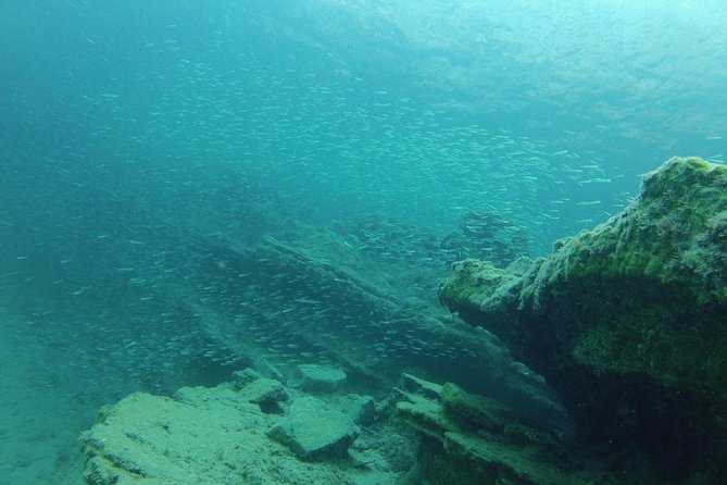 Olous – Guided Snorkelling Excursion to Discover Olous Sunken Ancient City - Confirmation and Accessibility Details